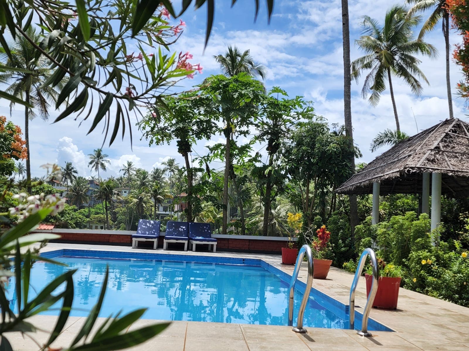 Magnolia Guesthouse pool photo 2